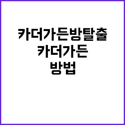 카더가든 방탈출, 재미와 스릴을 동시에 느끼는 방법 - 요약