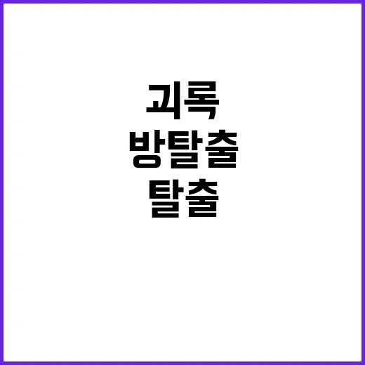 괴록 방탈출, 제대로 즐기는 방법 - 요약