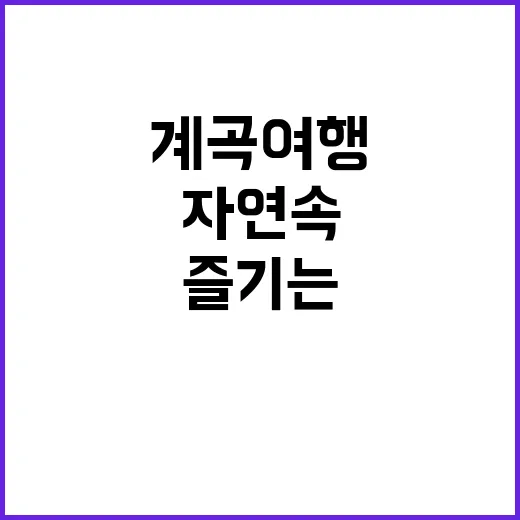 애견과 함께 즐기는 자연 속 힐링, 계곡 여행 방법 - 요약