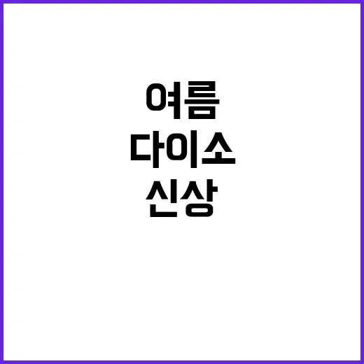 다이소 여름 신상, 이렇게 활용해보세요! - 요약