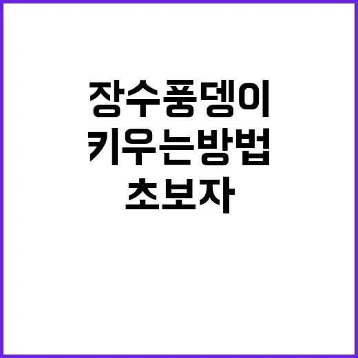 장수풍뎅이를 키우는 방법: 초보자를 위한 가이드 - 요약