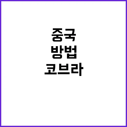중국 코브라의 매력적인 세계와 안전하게 대처하는 방법 - 요약