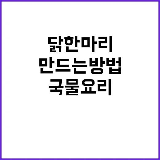 따뜻한 국물 요리, 닭한마리 쉽게 만드는 방법 - 요약