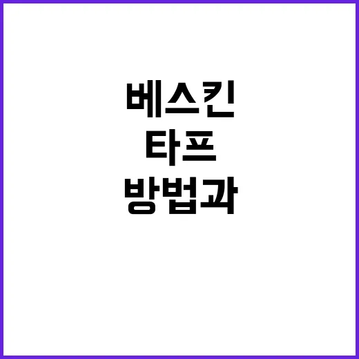 부용꽃을 제대로 즐기는 방법 - 요약