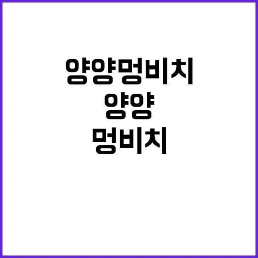 양양 멍비치 제대로 즐기는 방법 - 요약