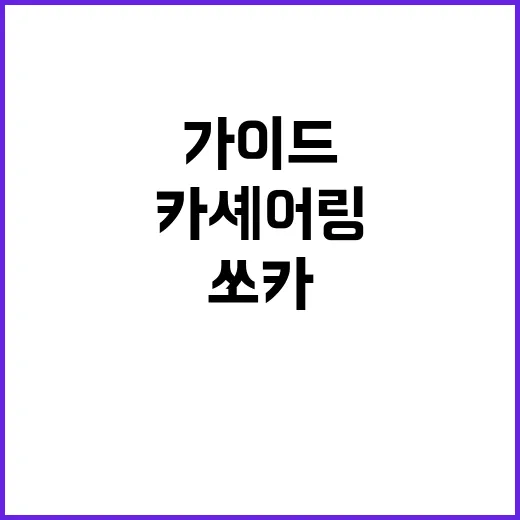쏘카를 사용해보니: 초보자를 위한 스마트한 카셰어링 가이드 - 요약