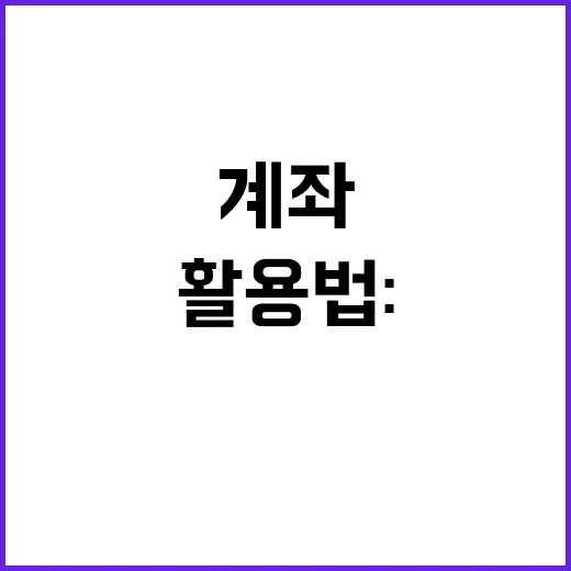 IRP계좌 활용법: 당신의 노후를 위한 똑똑한 선택 - 요약