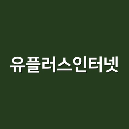 유플러스인터넷, 제대로 활용하는 방법 - 요약