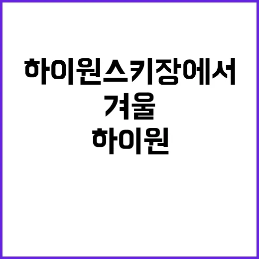 하이원스키장에서 완벽한 겨울을 보내는 방법 - 요약