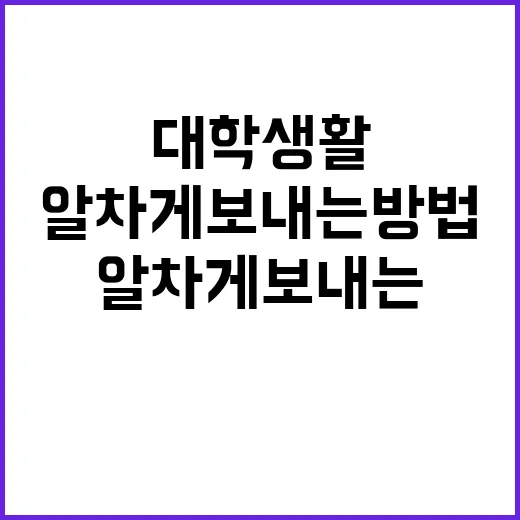 대학생활을 알차게 보내는 방법 - 요약