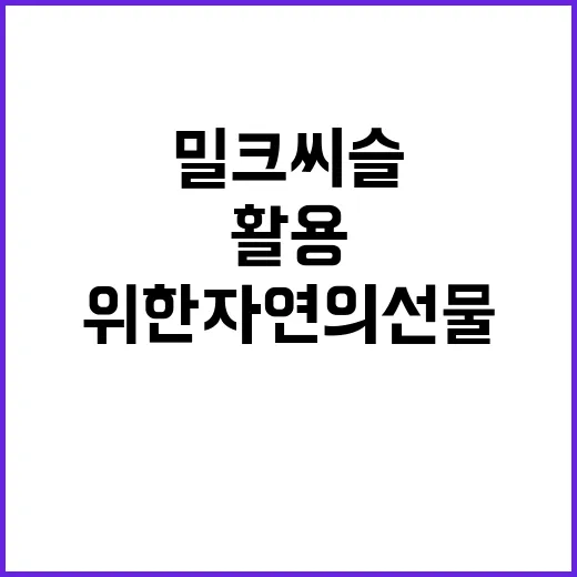 밀크씨슬, 내 몸을 위한 자연의 선물로 활용하는 방법 - 요약