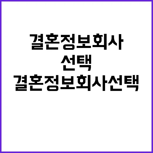 결혼정보회사 선택의 모든 것, 이렇게 해보세요! - 요약