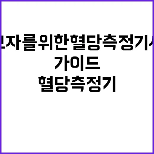 초보자를 위한 혈당측정기 사용 가이드 - 요약