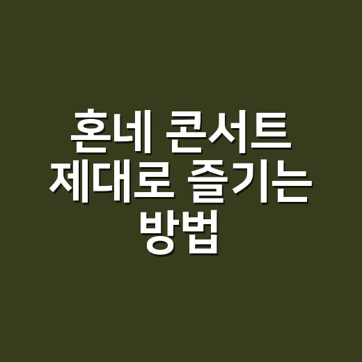 혼네 콘서트 제대로 즐기는 방법 - 요약