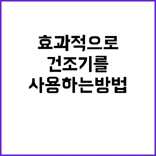 건조기를 효과적으로 사용하는 방법 - 요약