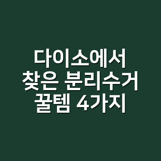 다이소에서 찾은 분리수거 꿀템 4가지, 이건 사야 해! - 요약