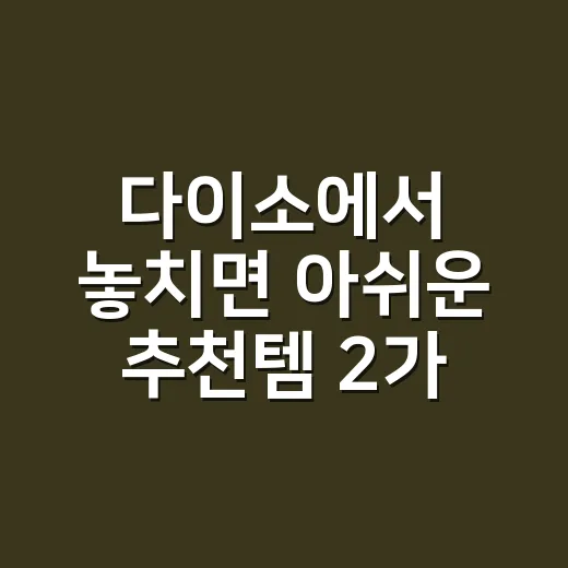 다이소에서 놓치면 아쉬운 추천템 2가지 - 요약