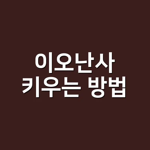 이오난사 키우는 방법, 초보자도 쉽게 따라해보세요 - 요약