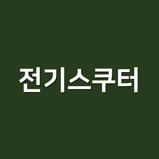 전기스쿠터, 초보자를 위한 완벽 가이드 - 요약