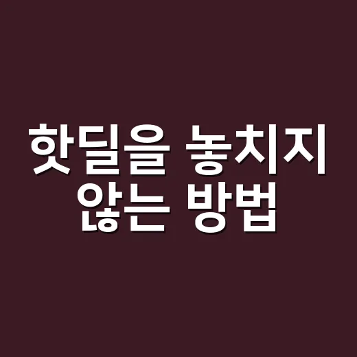 핫딜을 놓치지 않는 방법: 스마트하게 쇼핑하기 - 요약