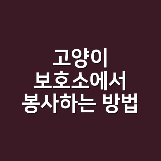 고양이 보호소에서 봉사하는 방법 - 요약