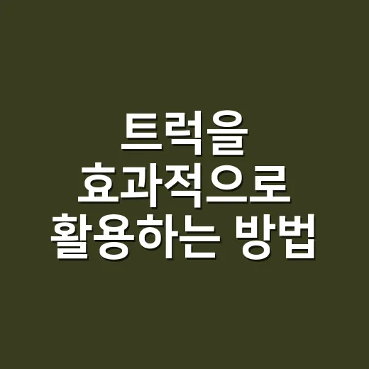트럭을 효과적으로 활용하는 방법 - 요약