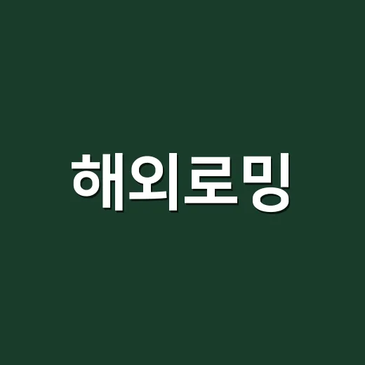 해외로밍, 성공적으로 사용하는 방법 - 요약