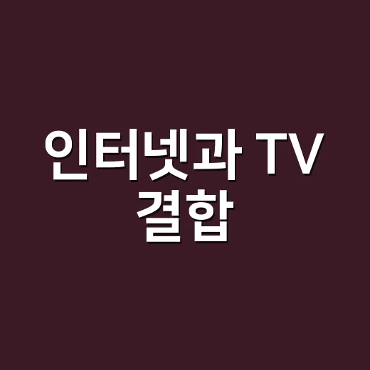 인터넷과 TV 결합, 어떻게 하면 더 알뜰하게 이용할 수 있을까? - 요약