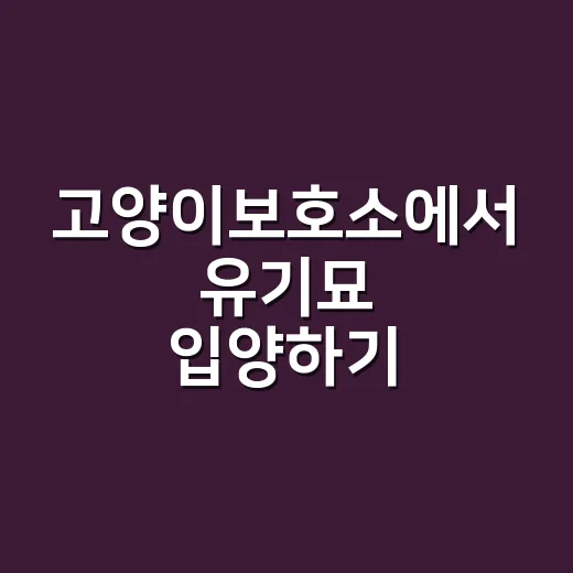 고양이보호소에서 유기묘 입양하기: 초보자를 위한 가이드 - 요약