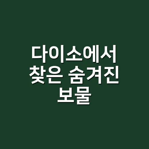 다이소에서 찾은 숨겨진 보물, 믿기 힘든 퀄리티의 제품들 - 요약