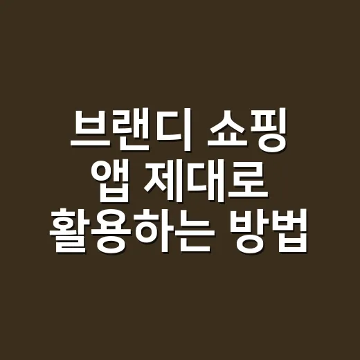 브랜디 쇼핑 앱 제대로 활용하는 방법 - 요약