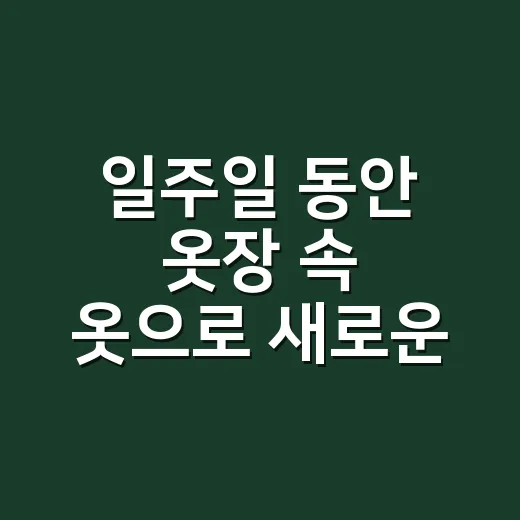 일주일 동안 옷장 속 옷으로 새로운 스타일링 하는 방법 - 요약