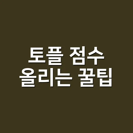 토플 점수 올리는 꿀팁, 이렇게 도전해보세요! - 요약