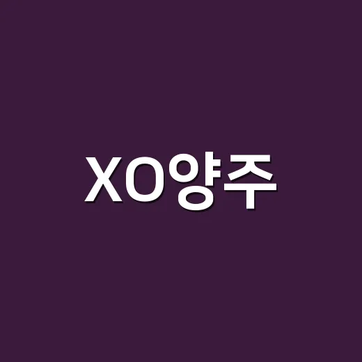 XO양주, 제대로 즐기는 방법 - 요약