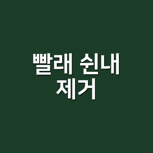 빨래 쉰내 제거, 이렇게 해보세요! - 요약