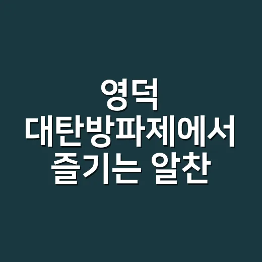영덕 대탄방파제에서 즐기는 알찬 하루 보내는 방법 - 요약
