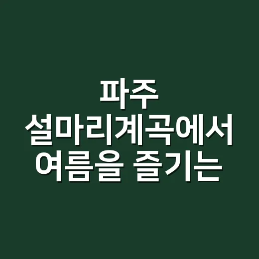 파주 설마리계곡에서 여름을 즐기는 방법 - 요약