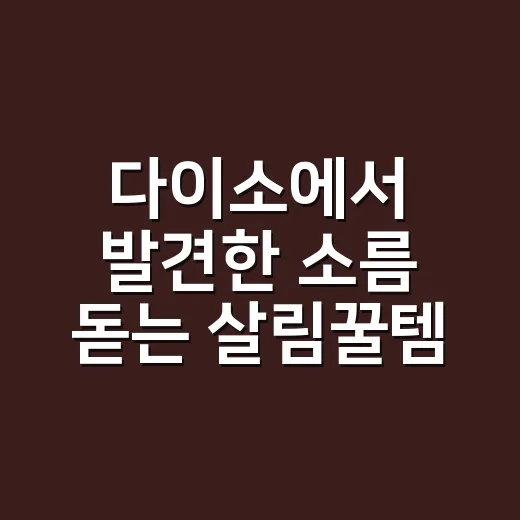 다이소에서 발견한 소름 돋는 살림꿀템 3가지 - 요약