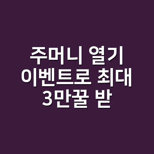주머니 열기 이벤트로 최대 3만꿀 받는 방법 - 요약