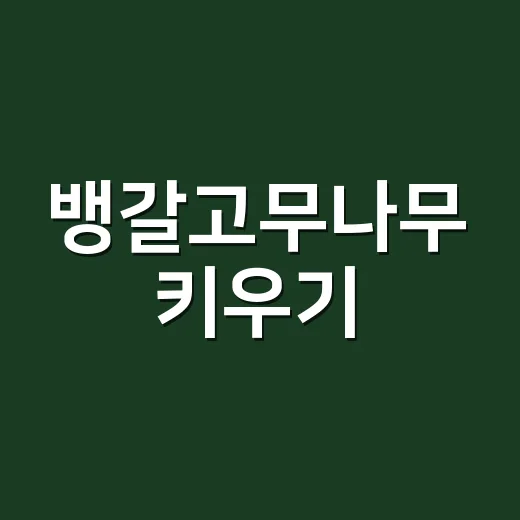 뱅갈고무나무 키우기, 이렇게 시작해보세요 - 요약
