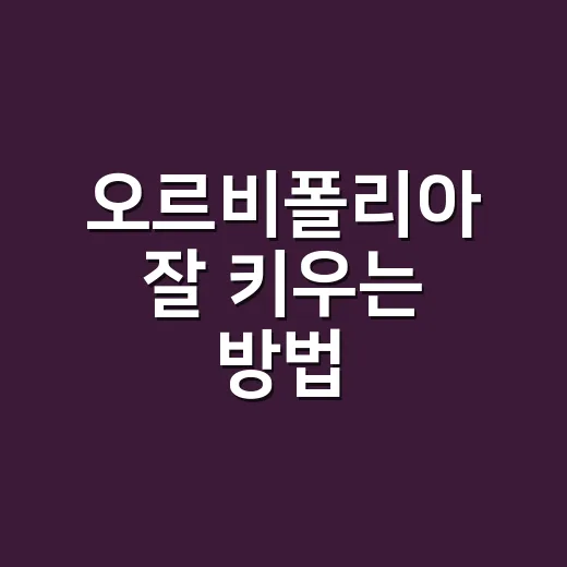 오르비폴리아 잘 키우는 방법, 이렇게 해보세요! - 요약