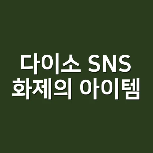 다이소 SNS 화제의 아이템, 이렇게 찾아보세요! - 요약
