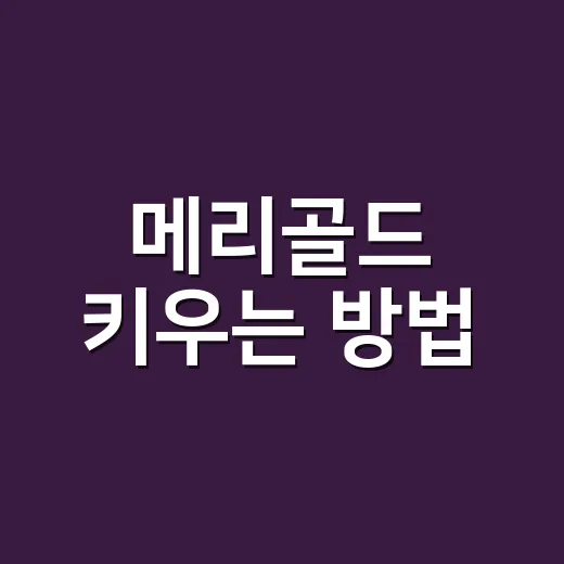 메리골드 키우는 방법: 건강한 정원을 위한 꿀팁 - 요약
