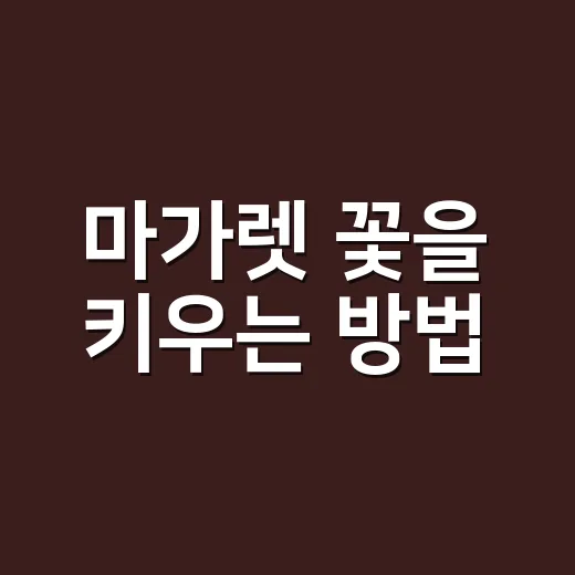 마가렛 꽃을 키우는 방법: 초보자를 위한 가이드 - 요약
