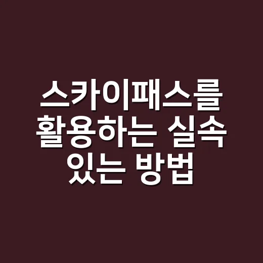 스카이패스를 활용하는 실속 있는 방법 - 요약