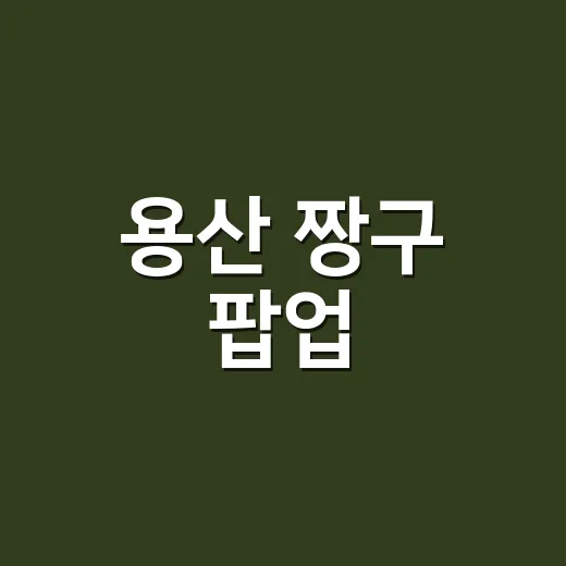 용산 짱구 팝업, 이렇게 즐겨보세요! - 요약