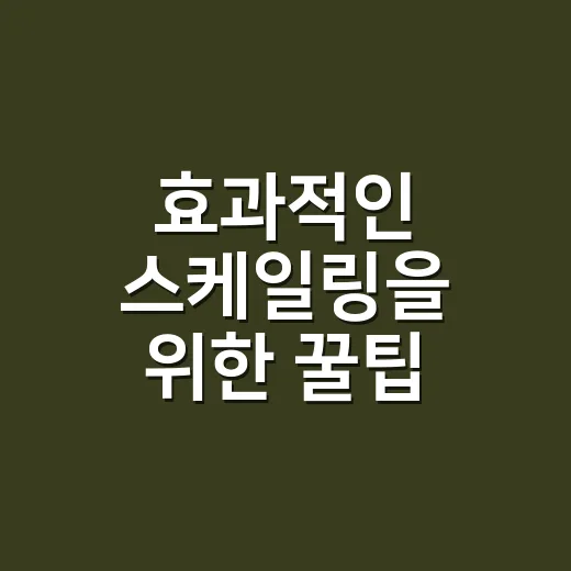 효과적인 스케일링을 위한 꿀팁 - 요약
