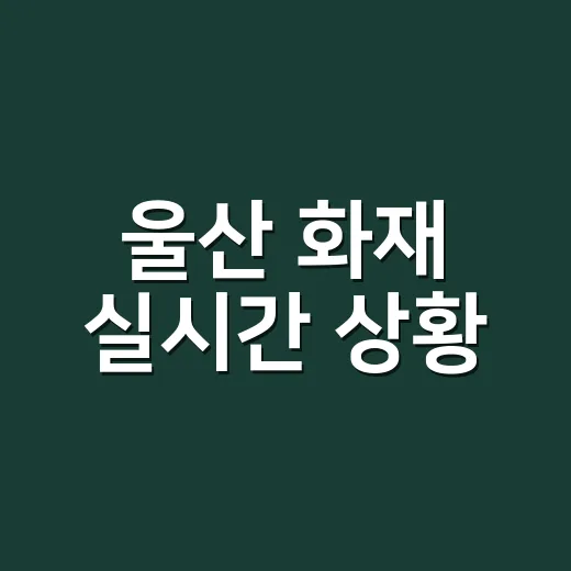 울산 화재 실시간 상황, 이렇게 대처하세요! - 요약