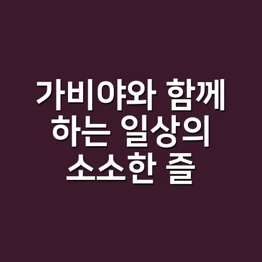 가비야와 함께 하는 일상의 소소한 즐거움 - 요약
