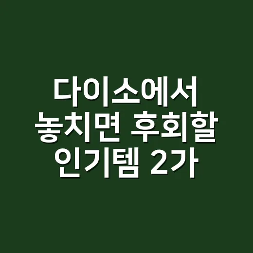 다이소에서 놓치면 후회할 인기템 2가지 추천! - 요약